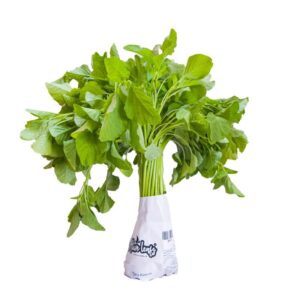 Amaranthus Green